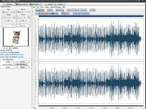 soundwave-on-video-edit-screen1